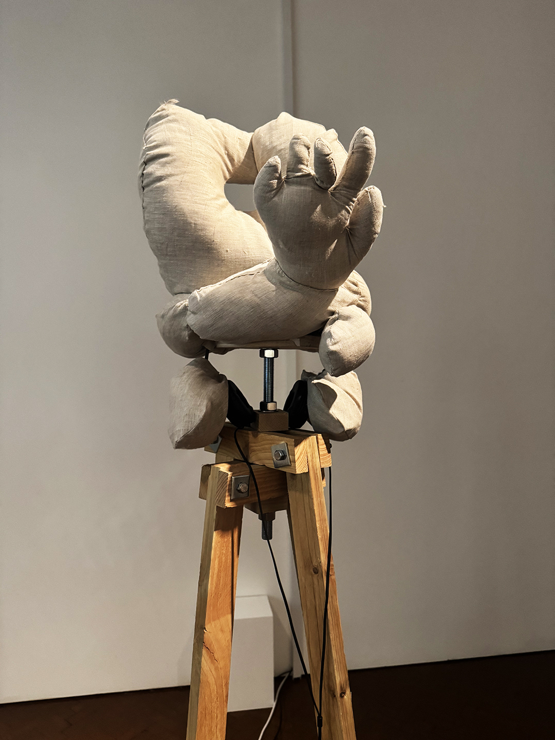 Gayle Chong Kwan Oneiric Archaeologies 2025 image Credit Gayle Chong Kwan 2