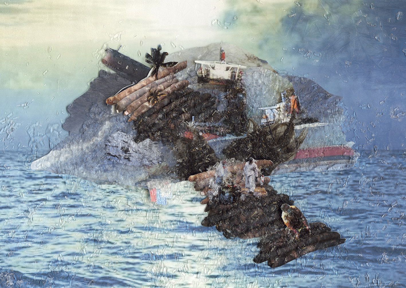 Low Res Wakashio Mauritius 2020 762x 540 mm Final