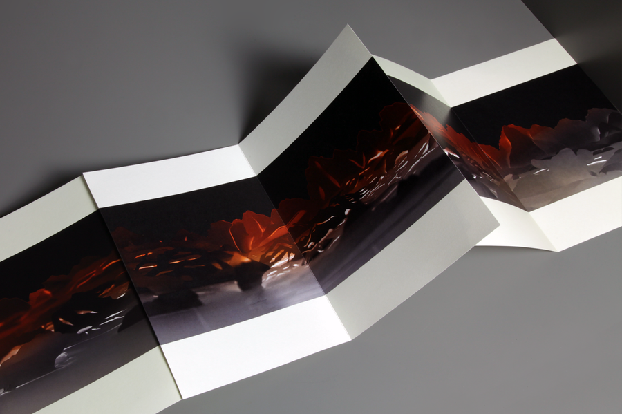 3ee24202 3571 4545 8aa3 3ff2ef98c78b